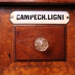 Campech. ligni